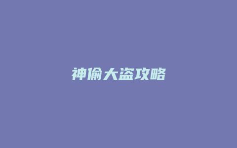 神偷大盗攻略