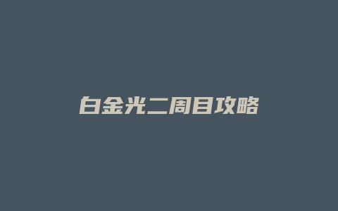 白金光二周目攻略