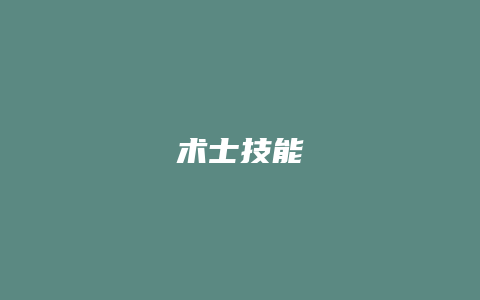 术士技能