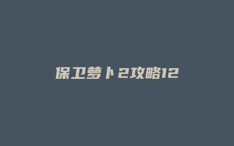 保卫萝卜2攻略12