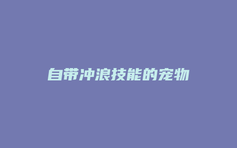 自带冲浪技能的宠物