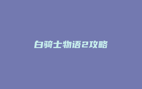 白骑士物语2攻略