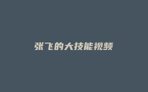 张飞的大技能视频