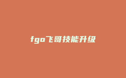fgo飞哥技能升级