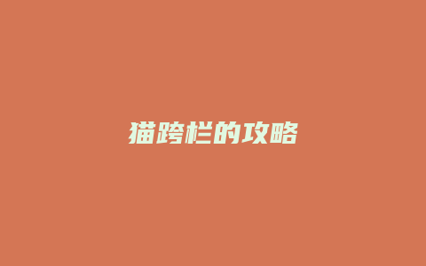猫跨栏的攻略