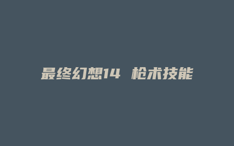 最终幻想14 枪术技能