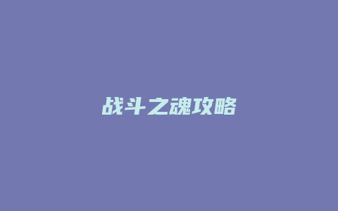 战斗之魂攻略