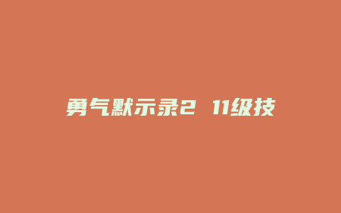 勇气默示录2 11级技能