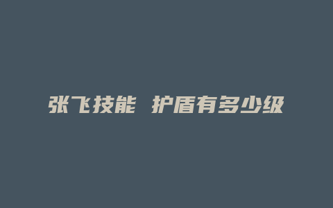 张飞技能 护盾有多少级