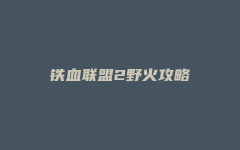 铁血联盟2野火攻略