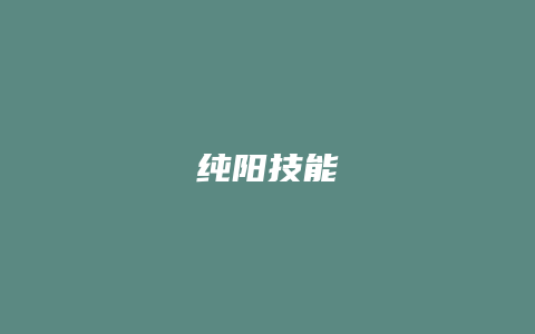 纯阳技能