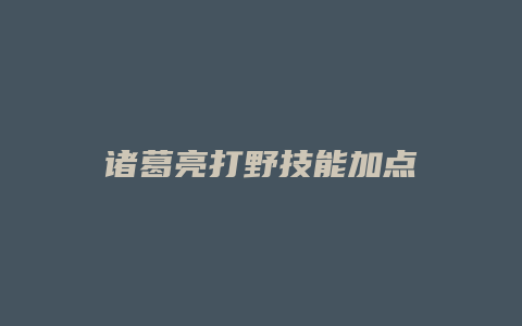 诸葛亮打野技能加点