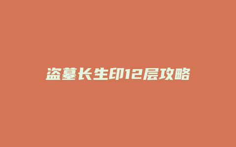 盗墓长生印12层攻略