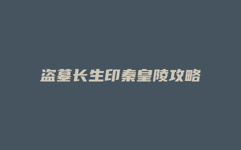 盗墓长生印秦皇陵攻略