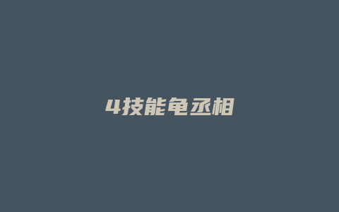 4技能龟丞相