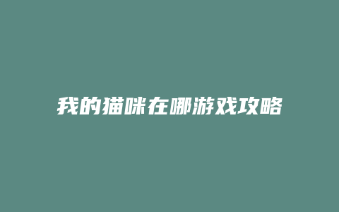 我的猫咪在哪游戏攻略