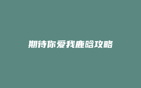 期待你爱我鹿晗攻略