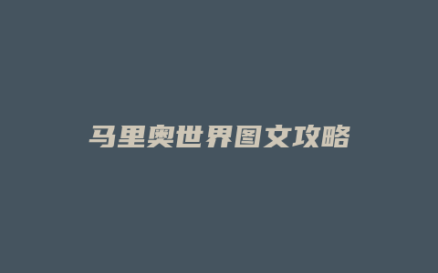 马里奥世界图文攻略
