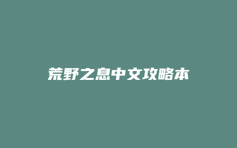 荒野之息中文攻略本