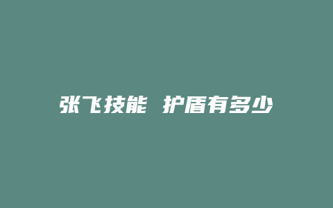 张飞技能 护盾有多少