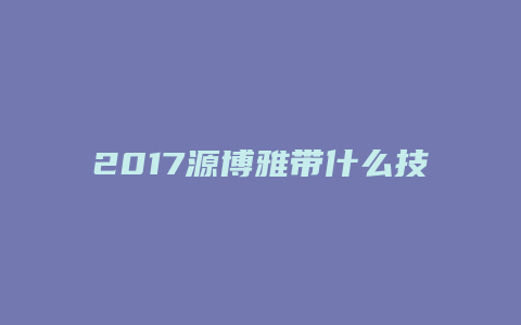 2017源博雅带什么技能