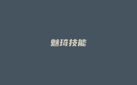 魅琦技能