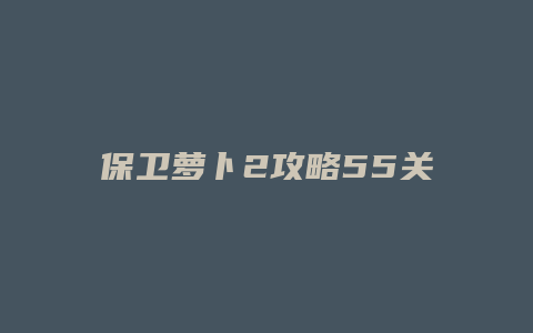 保卫萝卜2攻略55关