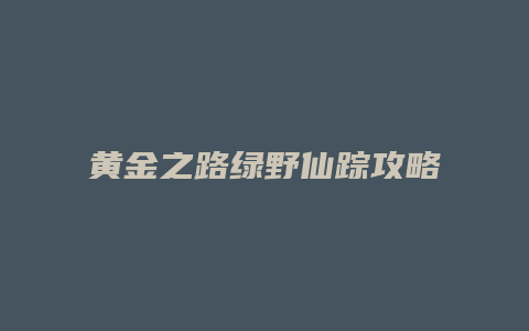 黄金之路绿野仙踪攻略