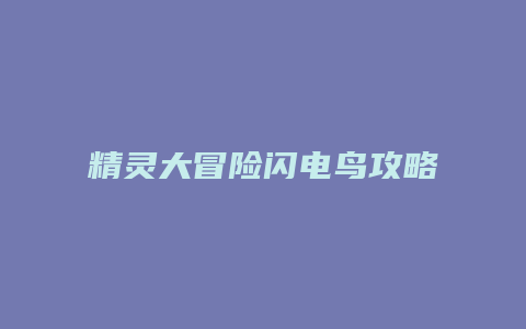 精灵大冒险闪电鸟攻略