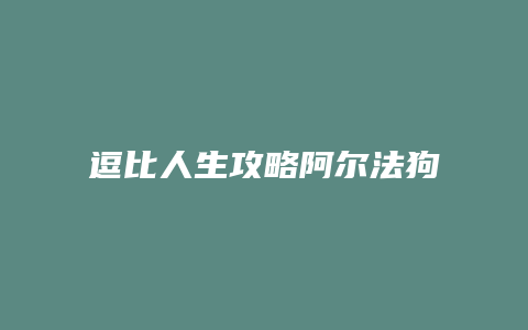 逗比人生攻略阿尔法狗