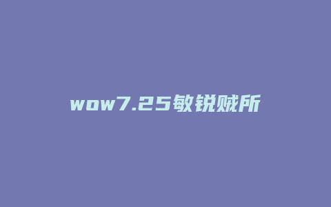 wow7.25敏锐贼所有技能