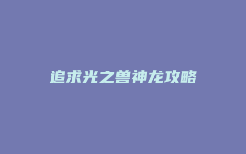追求光之兽神龙攻略