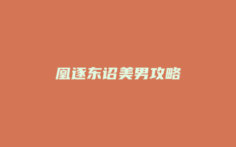 凰逐东诏美男攻略