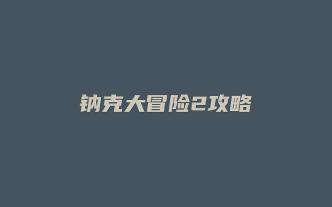 钠克大冒险2攻略