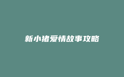 新小猪爱情故事攻略