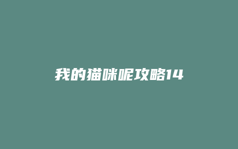 我的猫咪呢攻略14