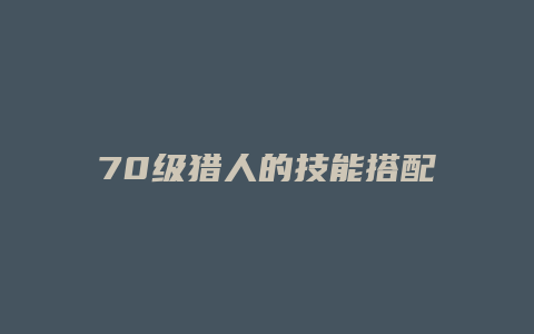 70级猎人的技能搭配