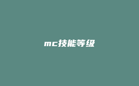 mc技能等级