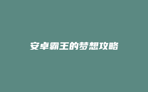 安卓霸王的梦想攻略