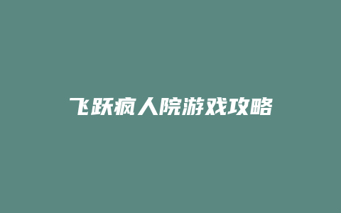 飞跃疯人院游戏攻略
