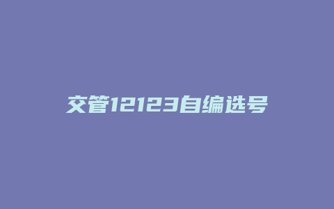 交管12123自编选号攻略