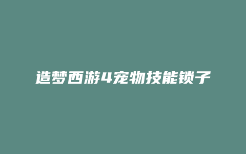 造梦西游4宠物技能锁子