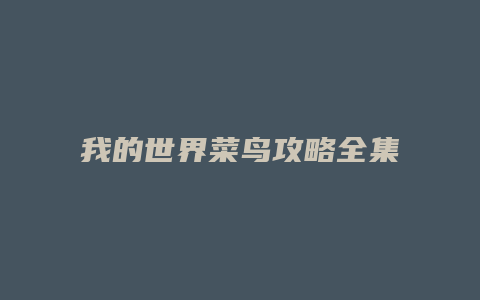我的世界菜鸟攻略全集