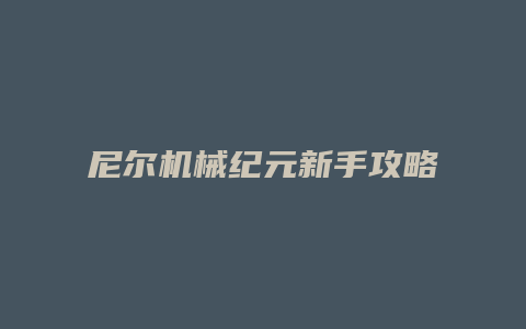 尼尔机械纪元新手攻略