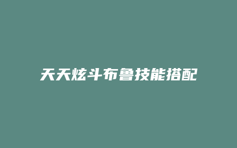 天天炫斗布鲁技能搭配