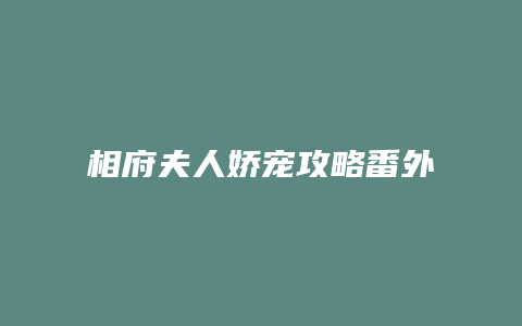 相府夫人娇宠攻略番外