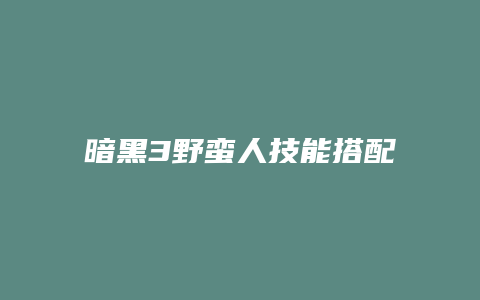 暗黑3野蛮人技能搭配