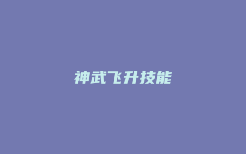 神武飞升技能