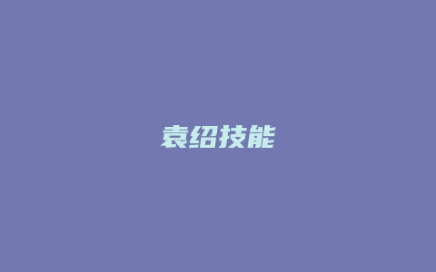 袁绍技能