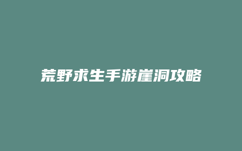 荒野求生手游崖洞攻略